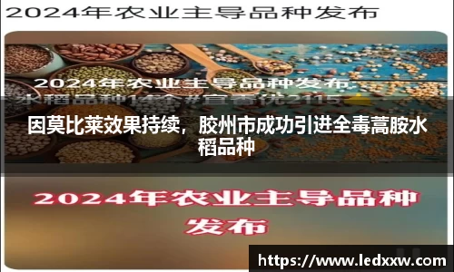 米乐YY易游