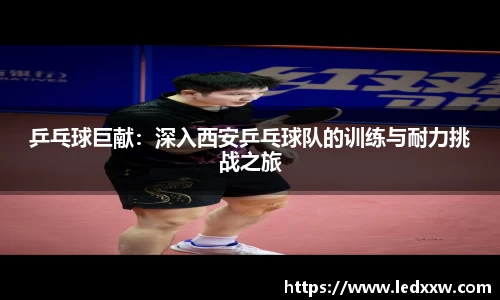 米乐YY易游